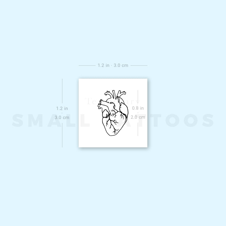 Small Anatomical Heart Temporary Tattoo - Set of 3