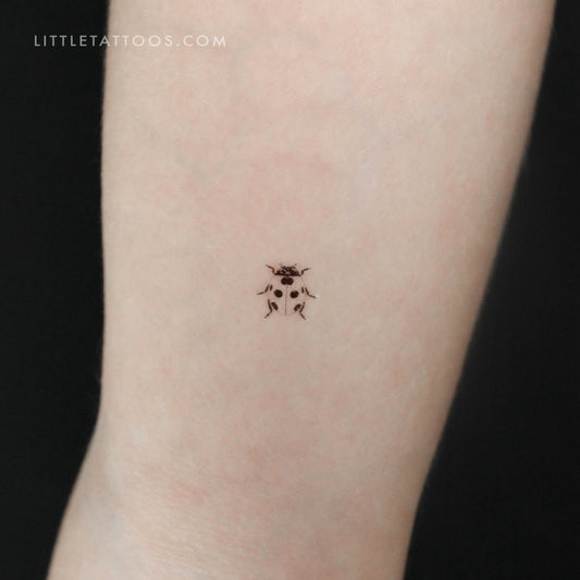 Tatuaje temporal de mariquita - Juego de 3