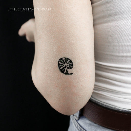 Young Fern By Ann Lilya Temporary Tattoo - Set of 3