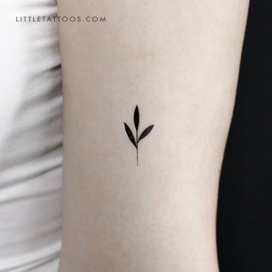 Tatuaje temporal de brote pequeño - Juego de 3