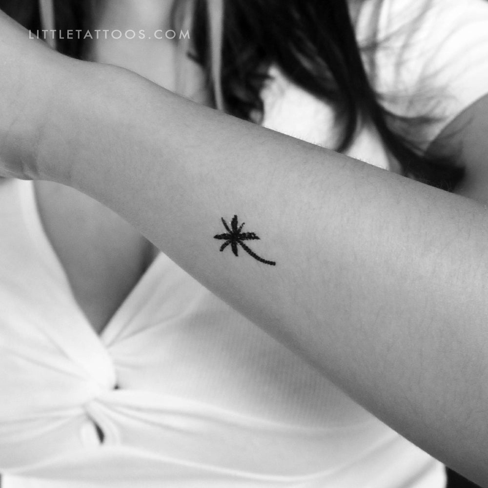 palm tree with coconuts tattoo Coconut Tree Temporary Tattoo