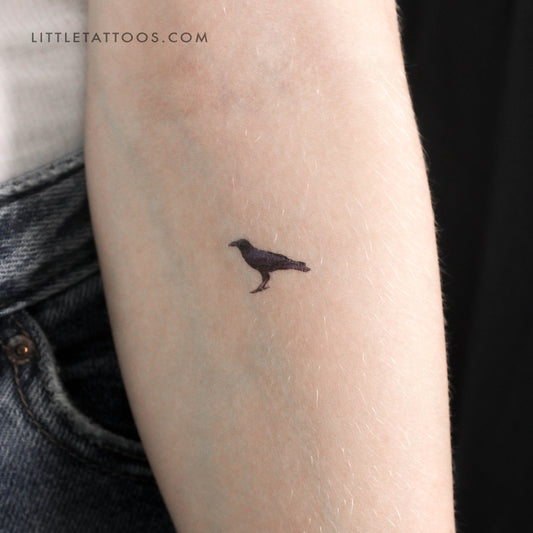 Tatuaje temporal de cuervo pequeño (juego de 3)