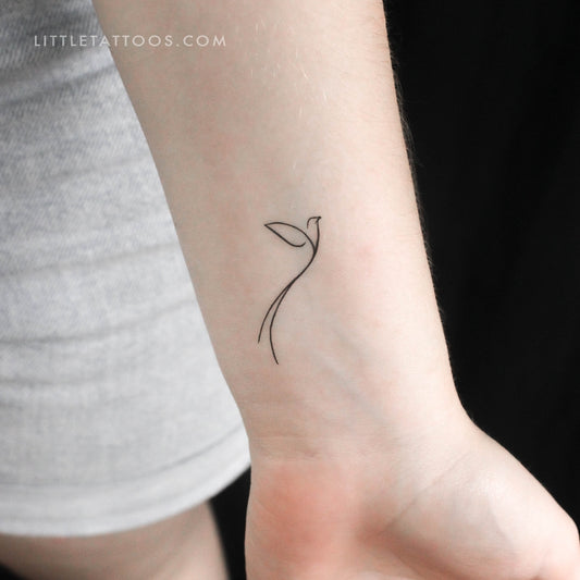 Tatuaje temporal minimalista de colibrí de cola larga (juego de 3)