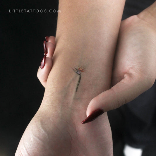 Small Watercolor Bird Of Paradise Temporary Tattoo - Set of 3