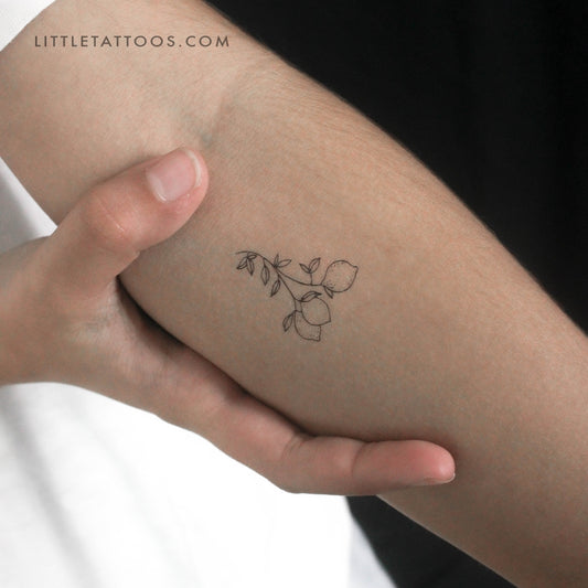 Tatuaje temporal de rama de limón pequeña (juego de 3)