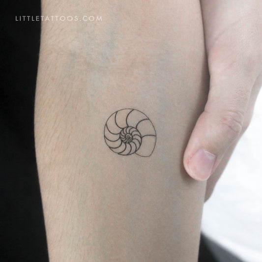 Ammonite Shell Temporary Tattoo - Set of 3