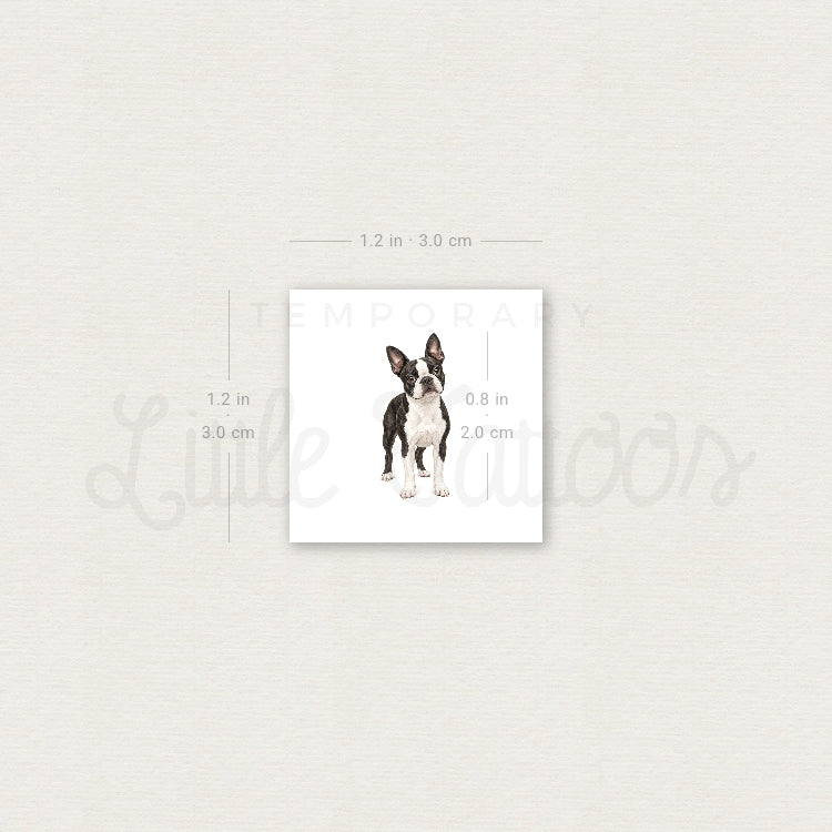 Realistic Boston Terrier Temporary Tattoo - Set of 3