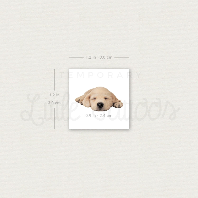Sleeping Labrador Retriever Temporary Tattoo - Set of 3