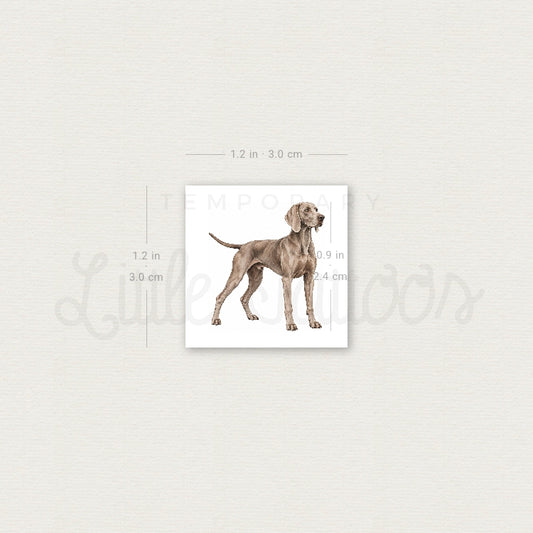Weimaraner Temporary Tattoo - Set of 3