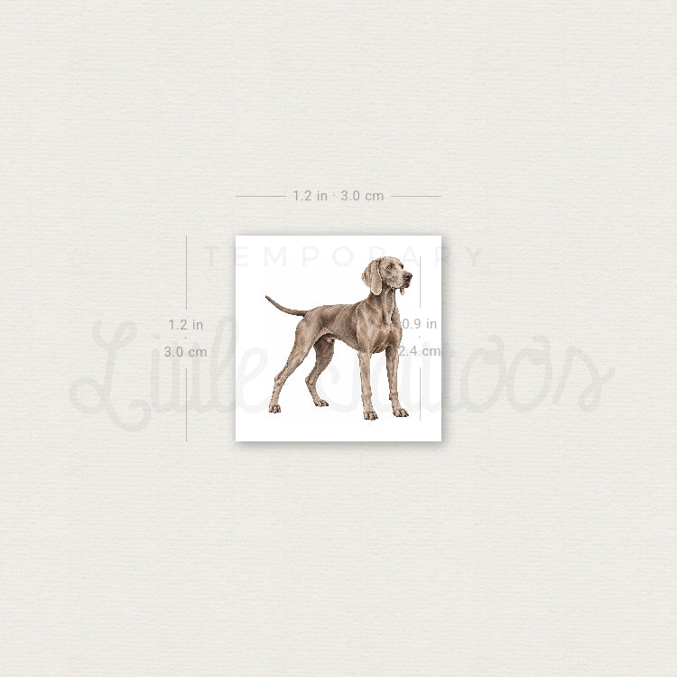Weimaraner Temporary Tattoo - Set of 3