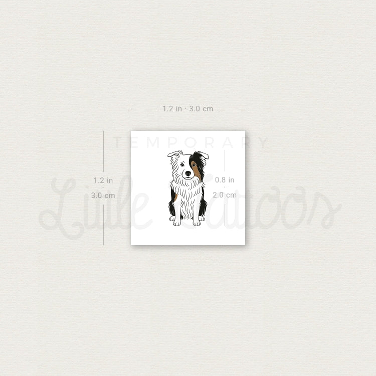 Tatuaje temporal de Border Collie - Juego de 3