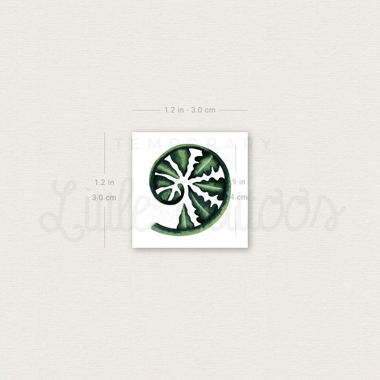 Young Fern By Ann Lilya Temporary Tattoo - Set of 3