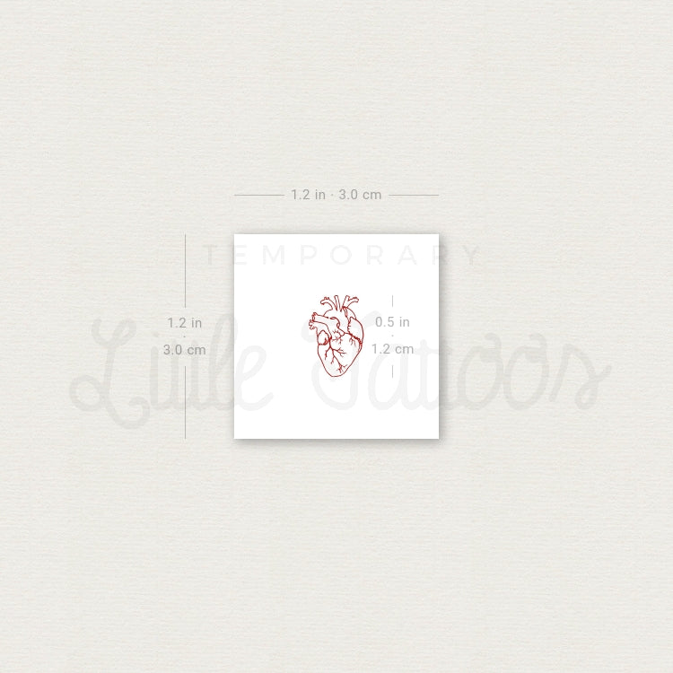 Tatuaje temporal pequeño de corazón anatómico rojo (juego de 3)