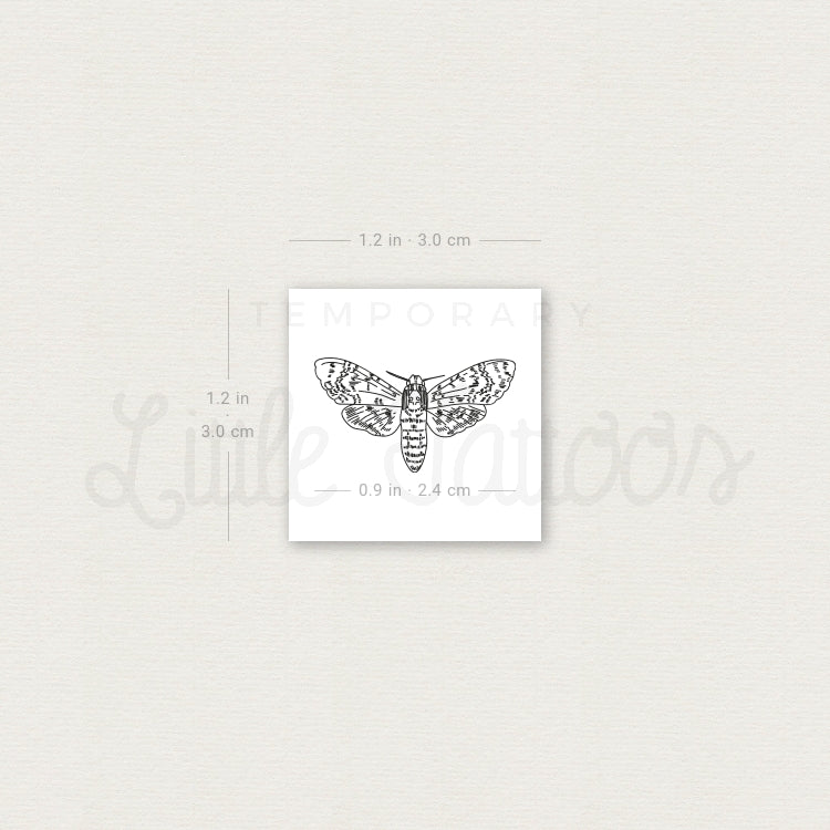 Small Moth Temporary Tattoo - Set of 3