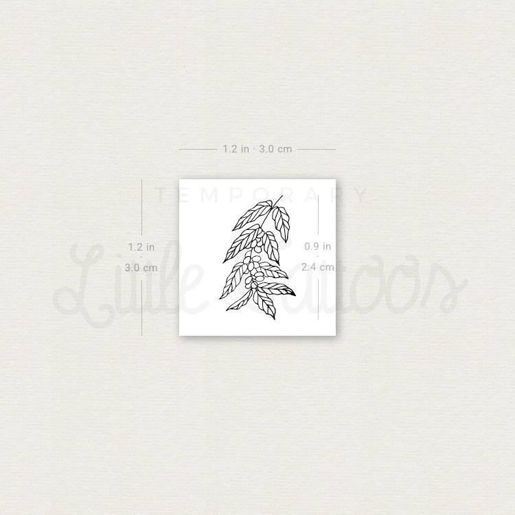 Coffea Plant Temporary Tattoo - Set of 3