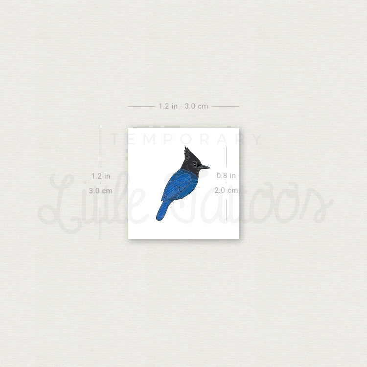 Little Steller's Jay Temporary Tattoo - Set of 3