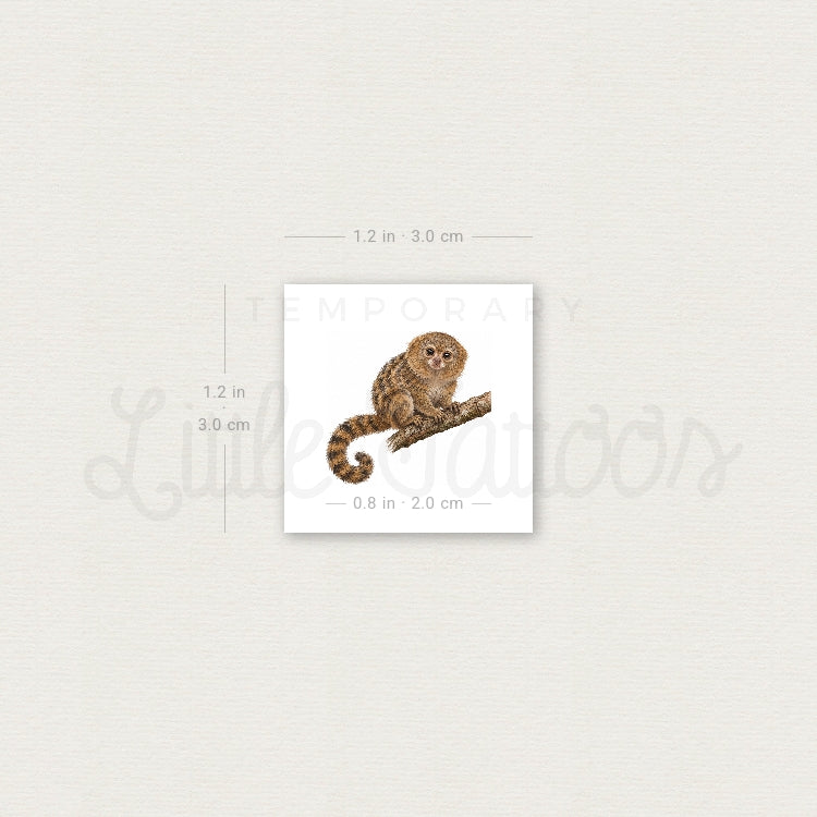 Pygmy Marmoset Temporary Tattoo - Set of 3