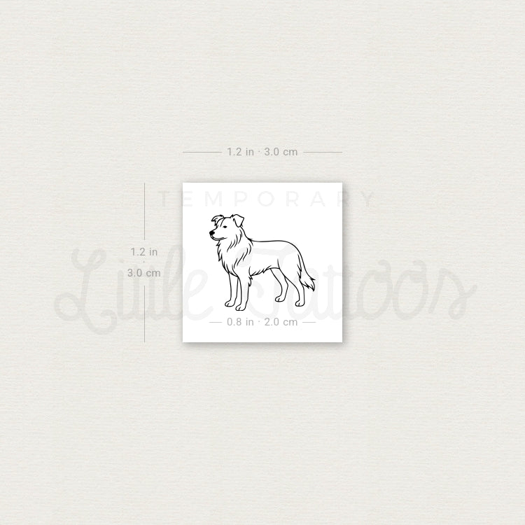 Minimalist Border Collie Temporary Tattoo - Set of 3
