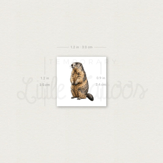 Watercolor Marmot Temporary Tattoo - Set of 3