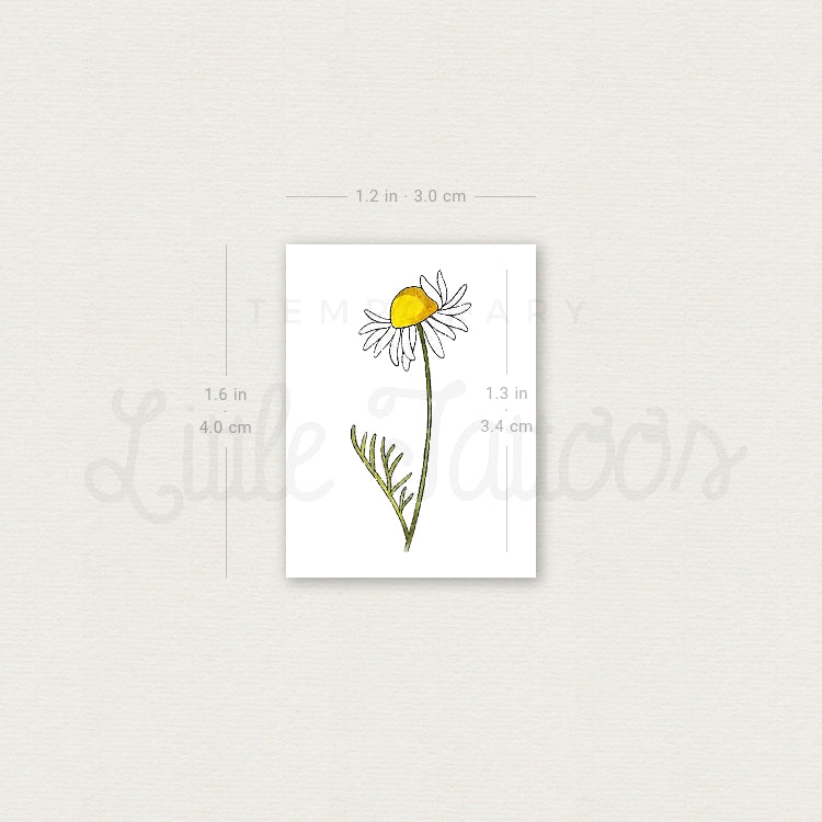Chamomile By Ann Lilya Temporary Tattoo - Set of 3