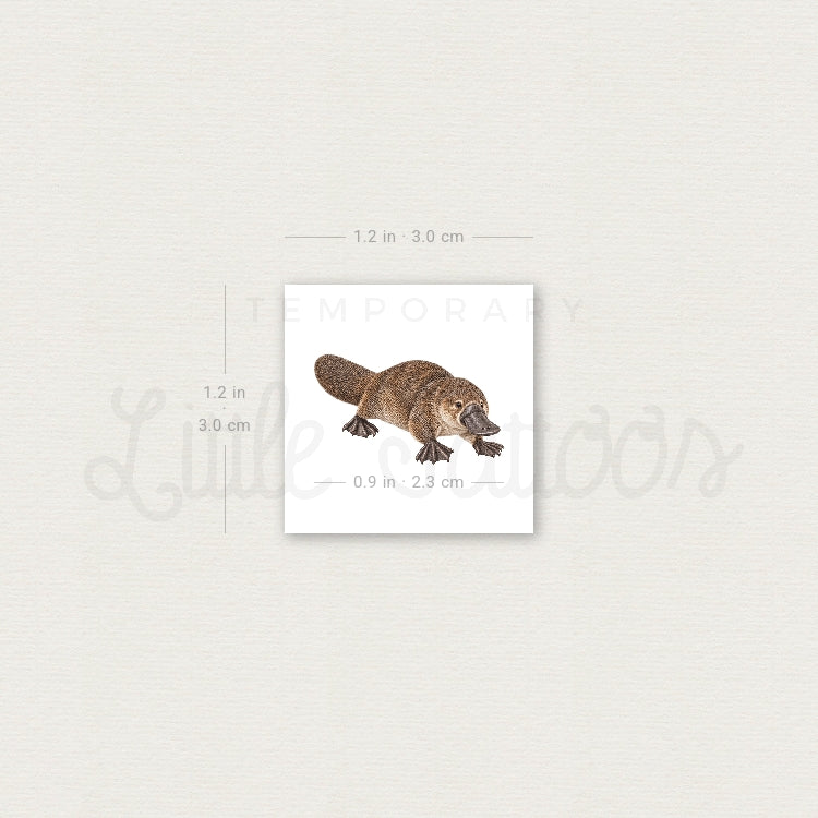 Watercolor Platypus Temporary Tattoo - Set of 3