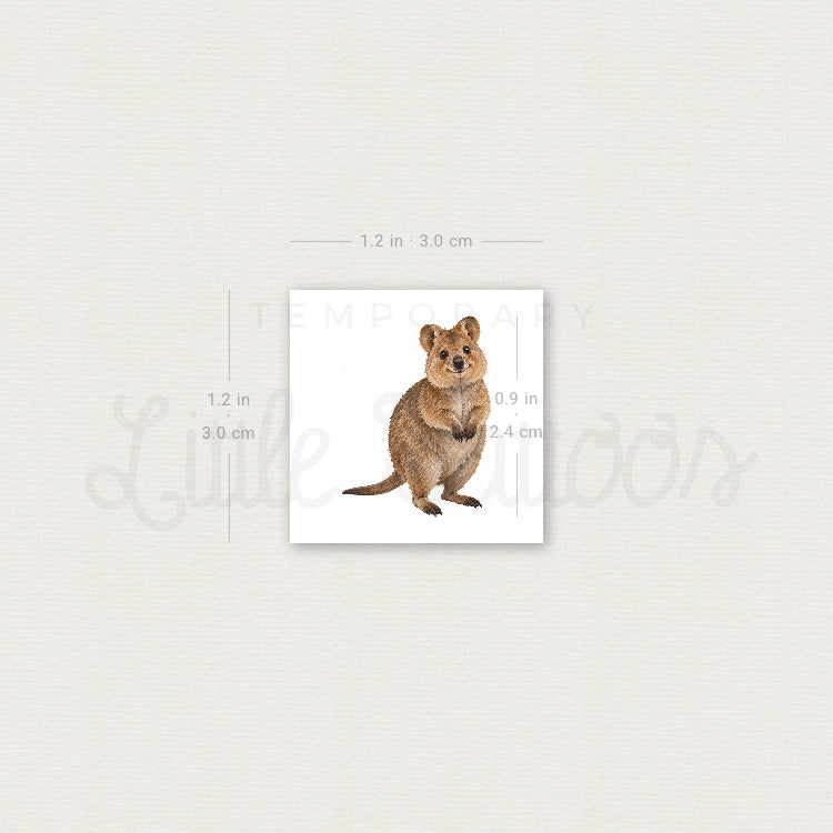 Quokka Temporary Tattoo - Set of 3