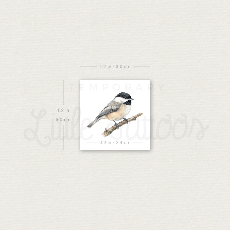 Black-capped Chickadee Temporary Tattoo - Set of 3