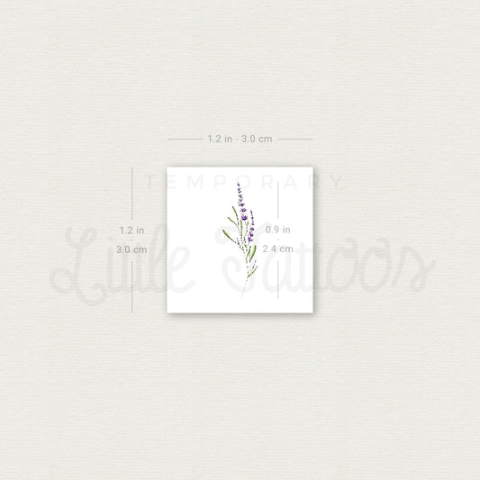 Small Lavender By Mini Lau Temporary Tattoo - Set of 3