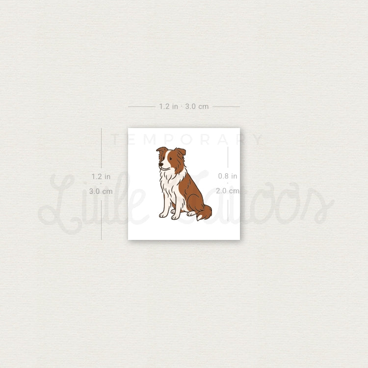 Chocolate Border Collie Temporary Tattoo - Set of 3