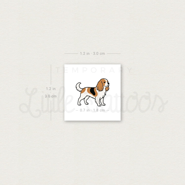 Tatuaje temporal de Cavalier King Charles Spaniel (juego de 3)