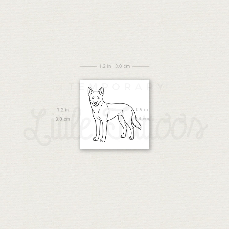 Dingo Temporary Tattoo - Set of 3