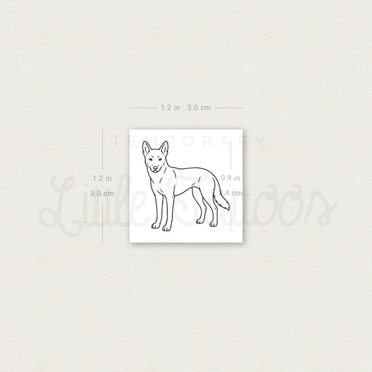 Dingo Temporary Tattoo - Set of 3