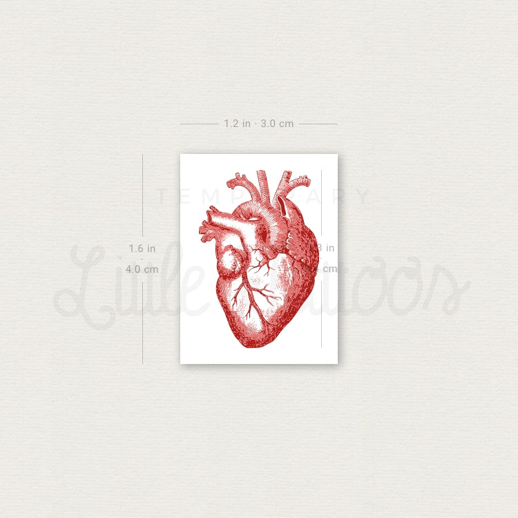 Tatuaje temporal de corazón anatómico rojo (juego de 3)