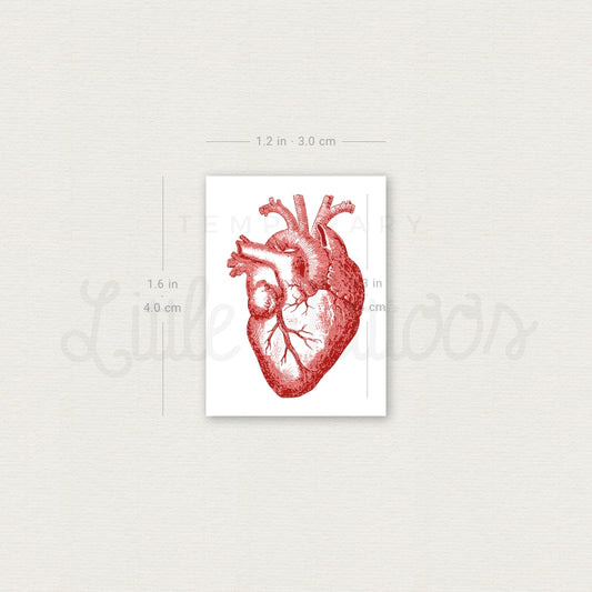Red Anatomical Heart Temporary Tattoo - Set of 3