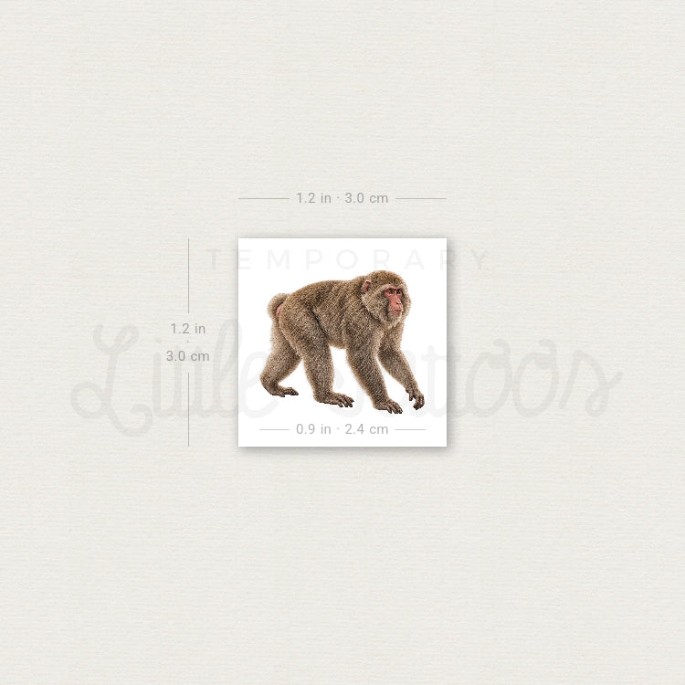 Macaque Temporary Tattoo - Set of 3