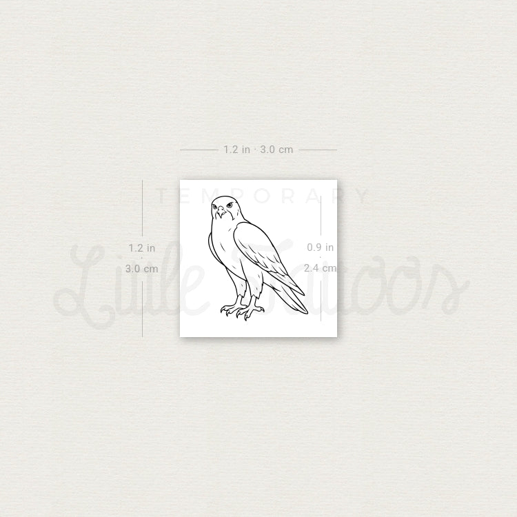 Falcon Temporary Tattoo - Set of 3
