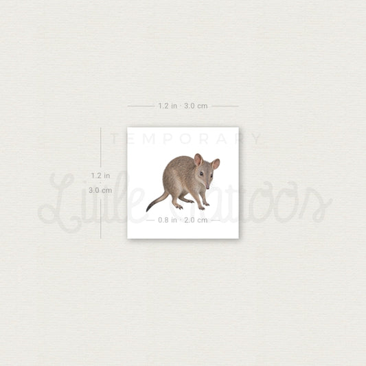 Bandicoot Temporary Tattoo - Set of 3