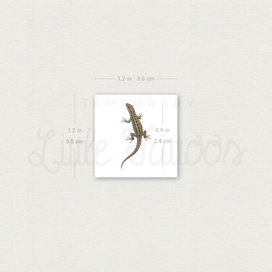 Lizard Temporary Tattoo - Set of 3