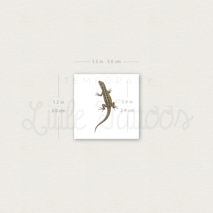 Lizard Temporary Tattoo - Set of 3