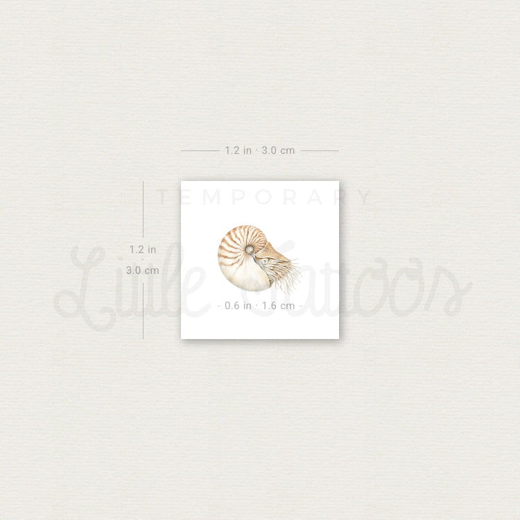 Nautilus Temporary Tattoo - Set of 3