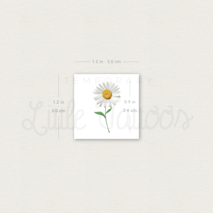 Small Daisy Temporary Tattoo - Set of 3
