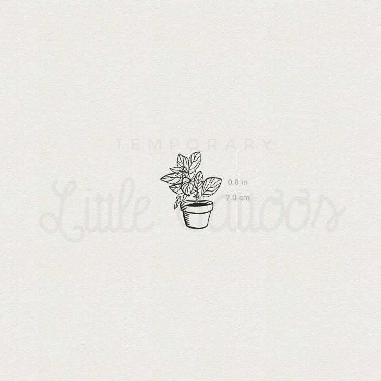 House Plant Temporary Tattoo - Set Of 3 – Little Tattoos