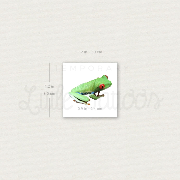 Red Eyed Tree Frog Temporary Tattoo - Set of 3