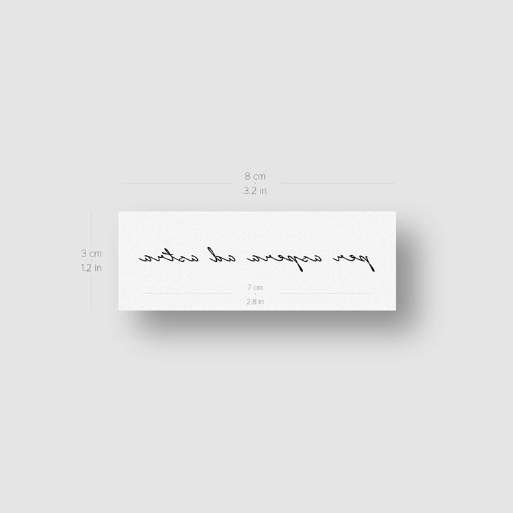 Per Aspera Ad Astra Temporary Tattoo - Set of 3