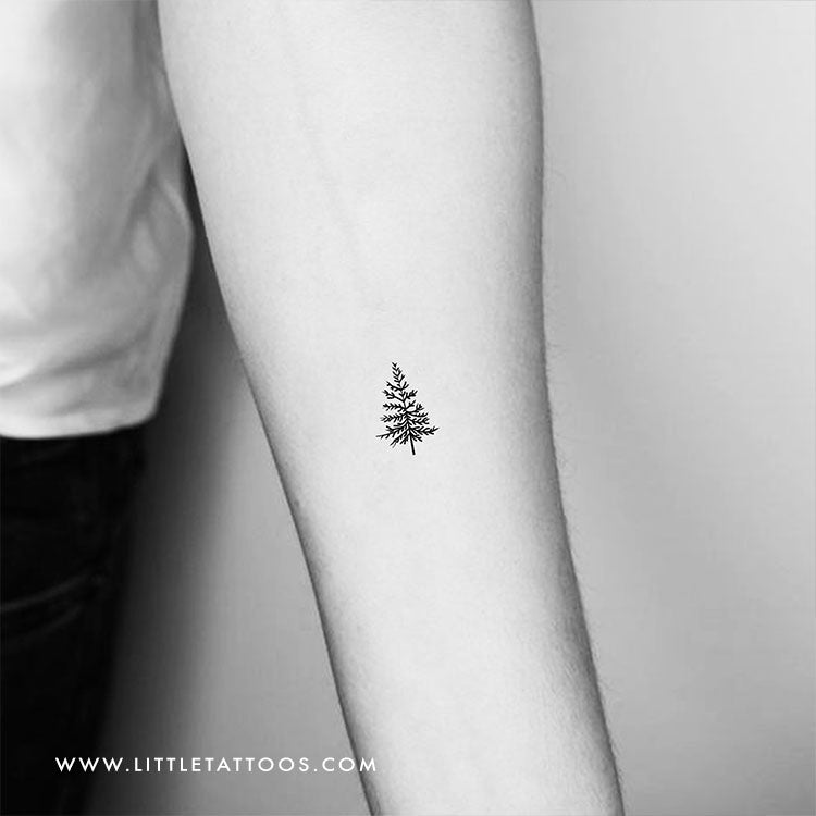 fir tree branch tattoo