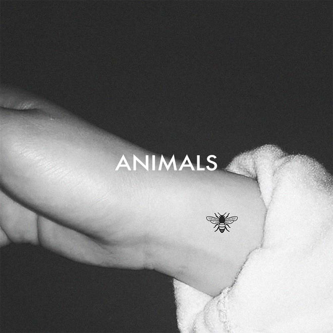 Animals