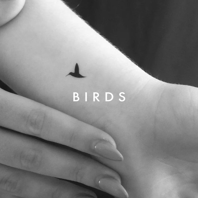 Birds