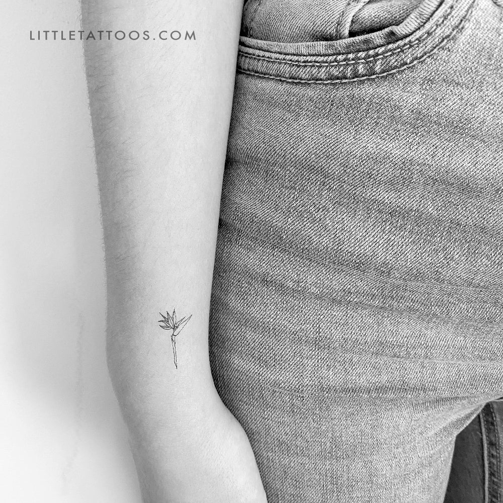 Tatuaje temporal de flor de ave del paraíso - Juego de 3