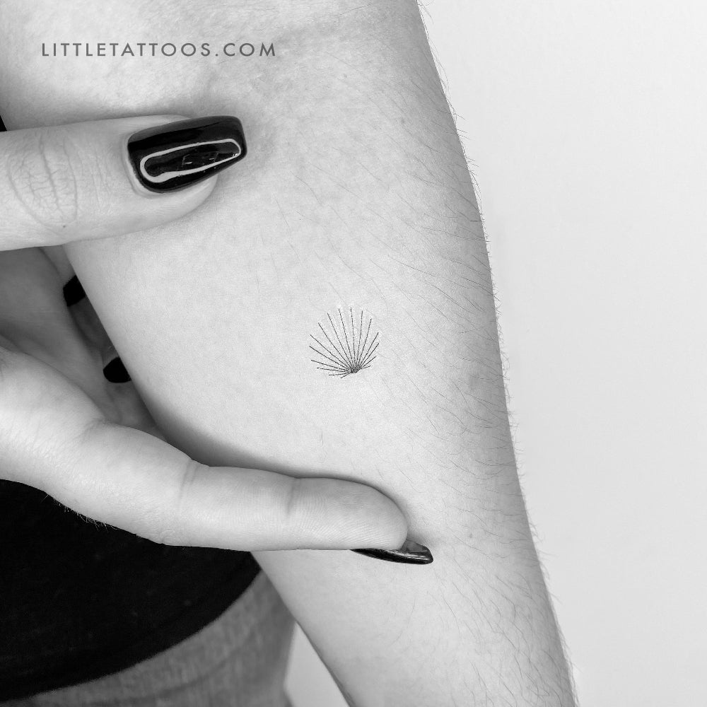 Tatuaje temporal de concha minimalista diminuta - Juego de 3