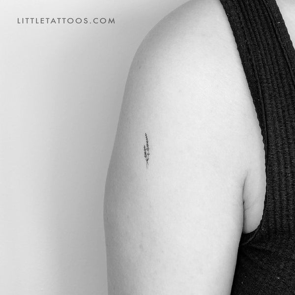 Little Fine Line Lavender Temporary Tattoo - Set of 3